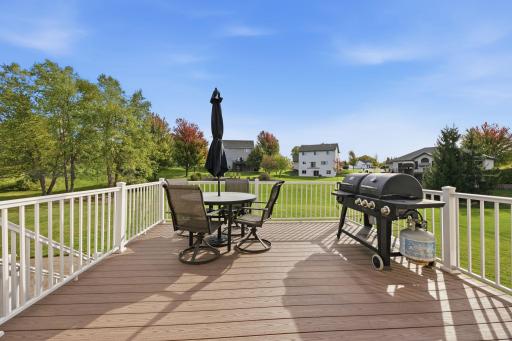 1306 Bellavista Drive, Buffalo, MN 55313
