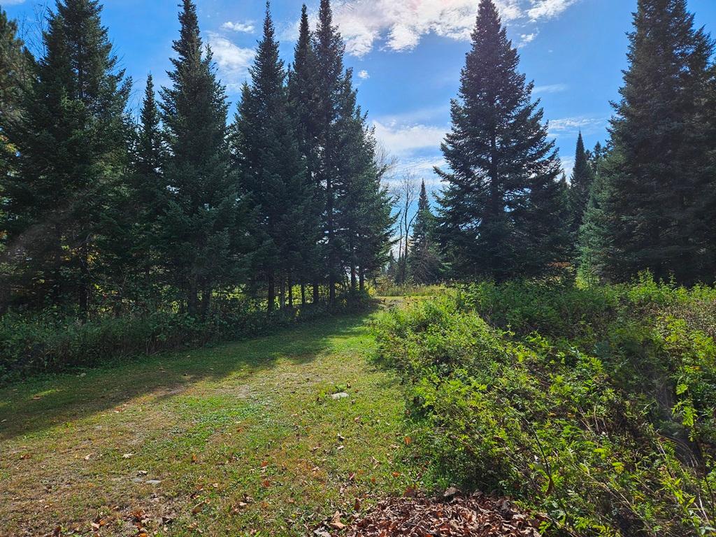 Lt 3 Blk 1 Co Rd 238, Deer River, MN 56636