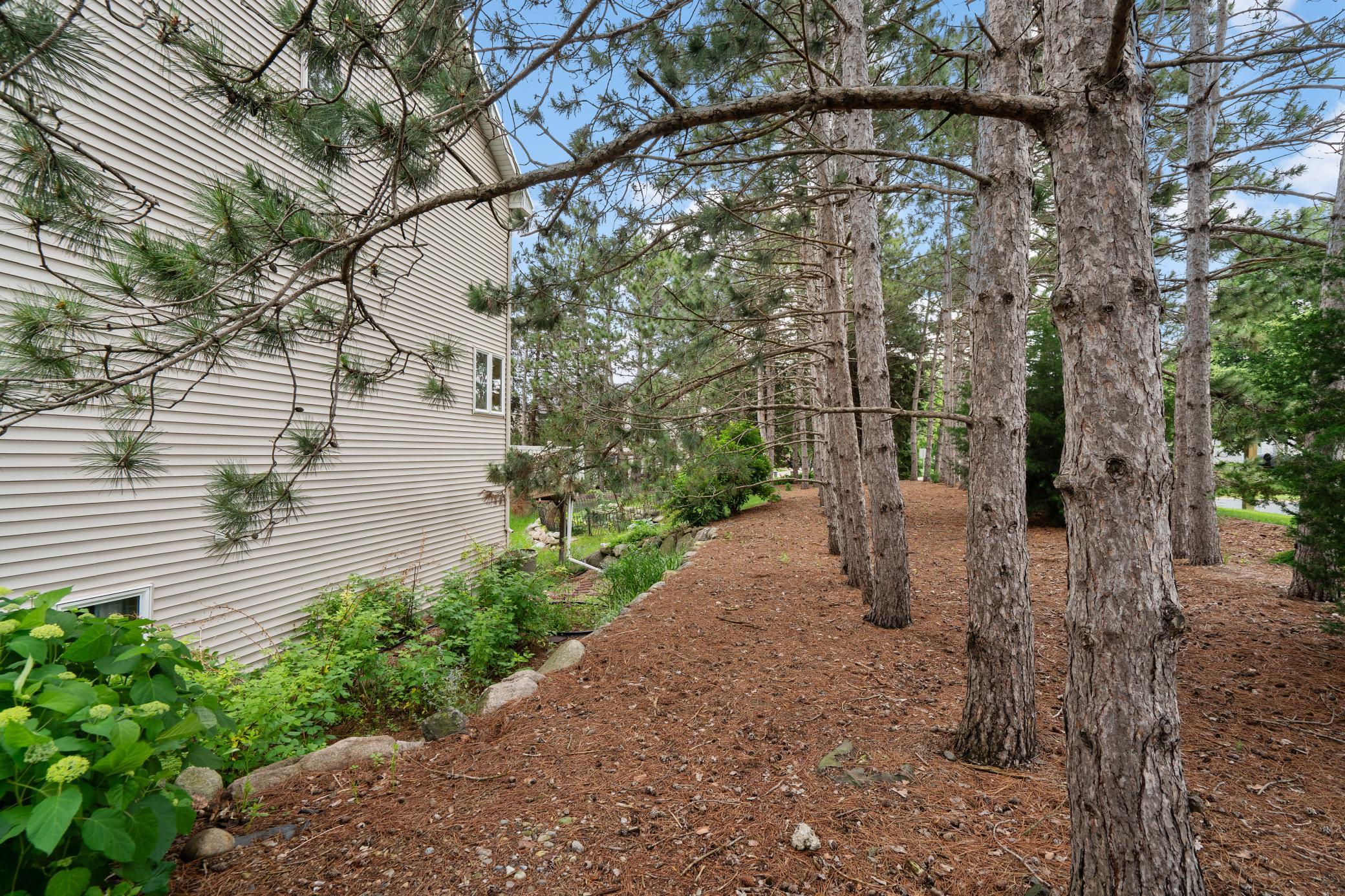 Very private backyard