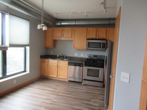 15 E Franklin Avenue, 313, Minneapolis, MN 55404