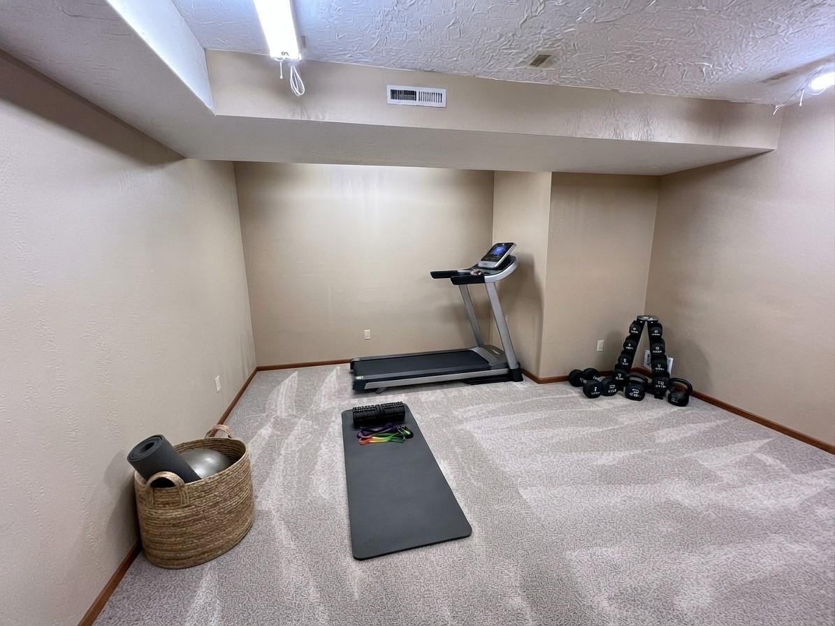 Lower level flex room