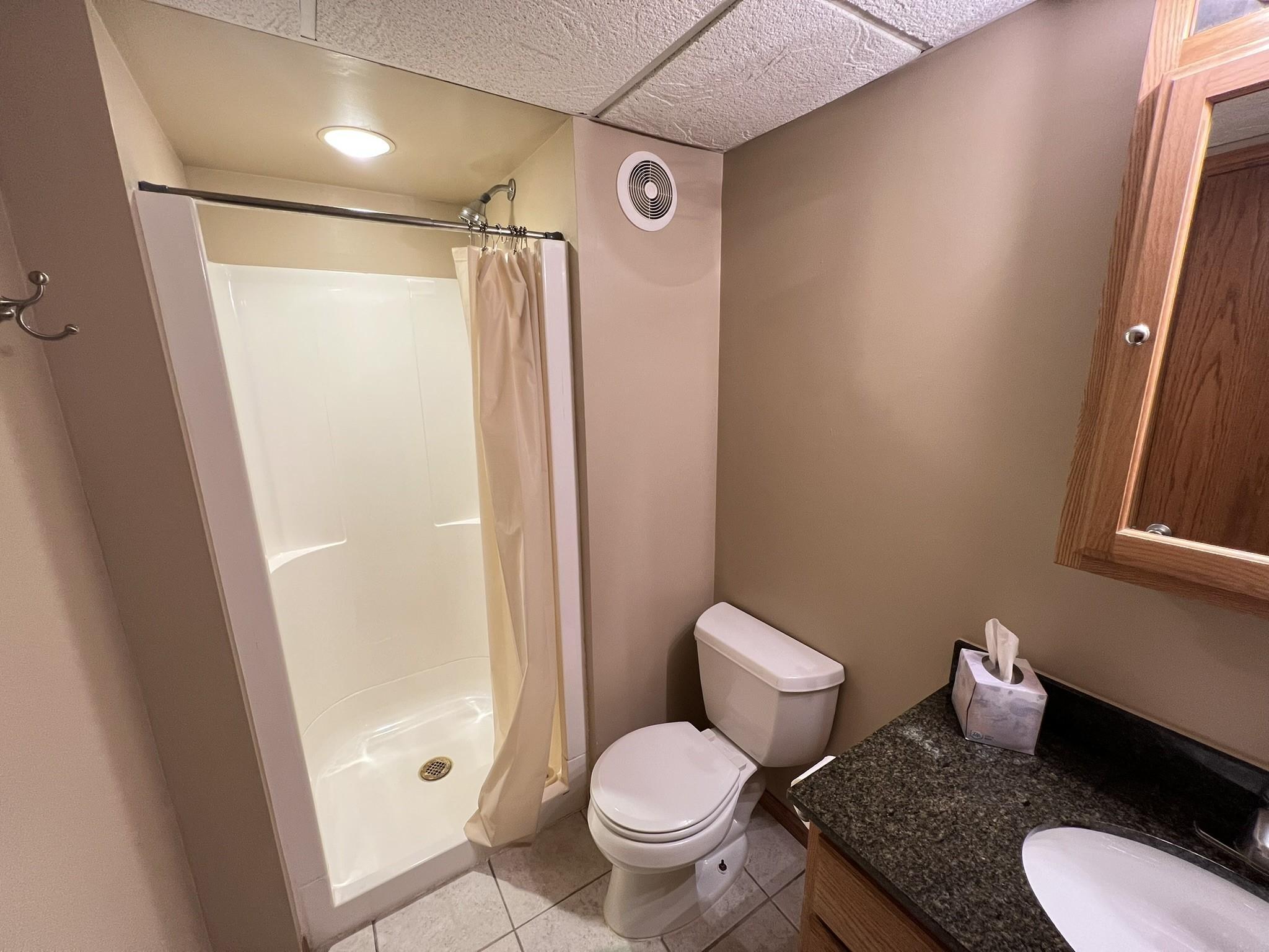 Lower level bathroom
