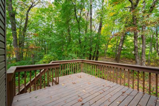 20261001_40818_FinleyRoad_NorthBranch_Exterior_17.jpg