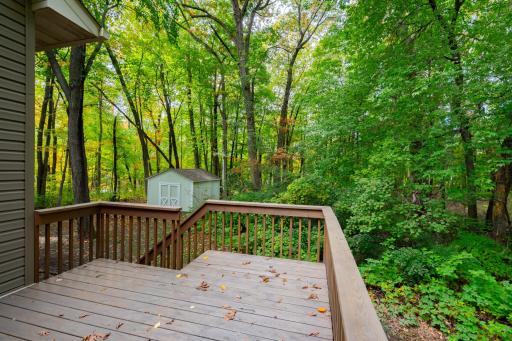 20261001_40818_FinleyRoad_NorthBranch_Exterior_18.jpg