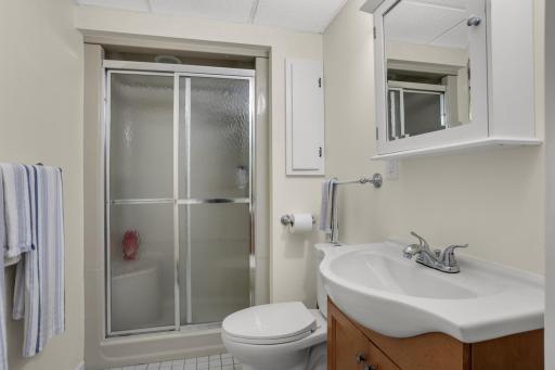 The lower level bathroom