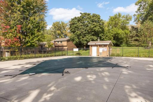 The pool