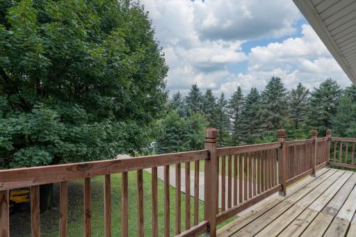 1207 William Street, Kasota, MN 56050