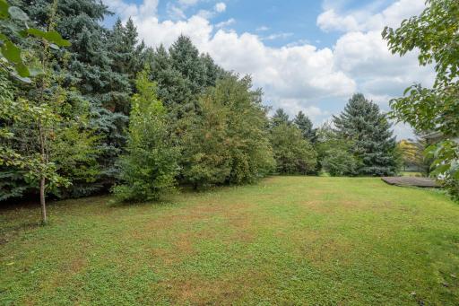 1207 William Street, Kasota, MN 56050