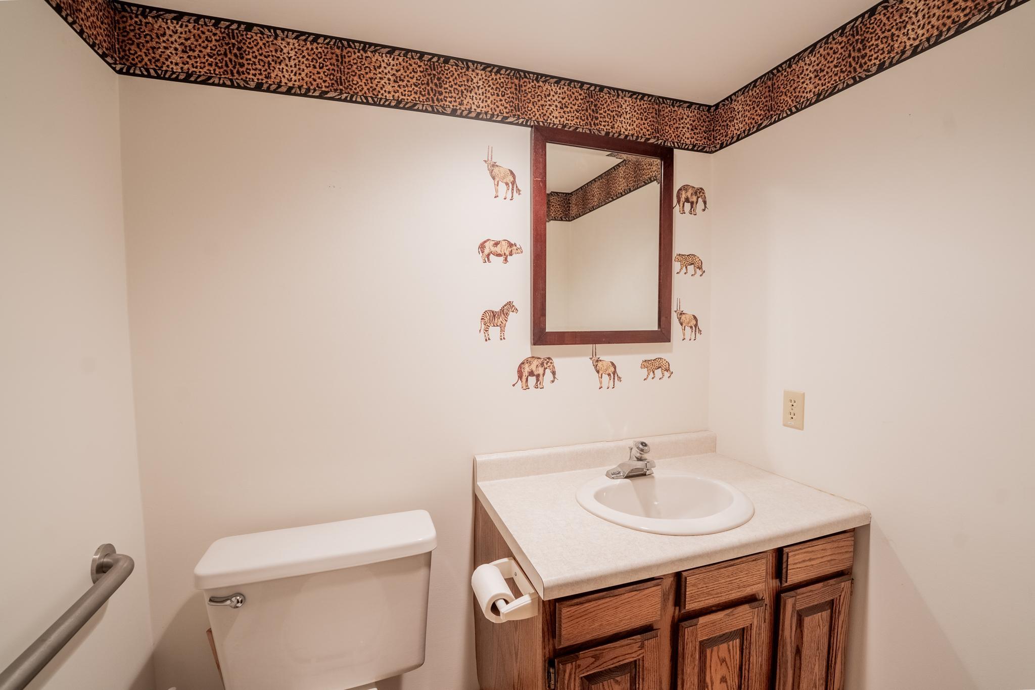 lower level bathroom