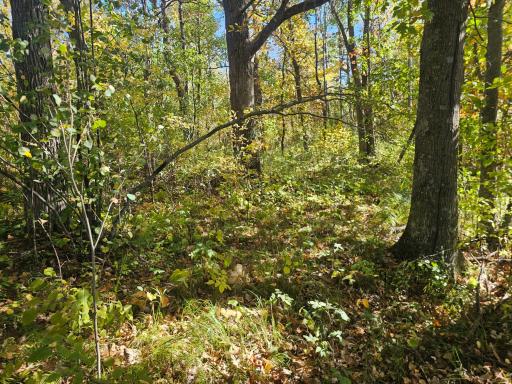 TBD County Road 30, Aitkin, MN 56431
