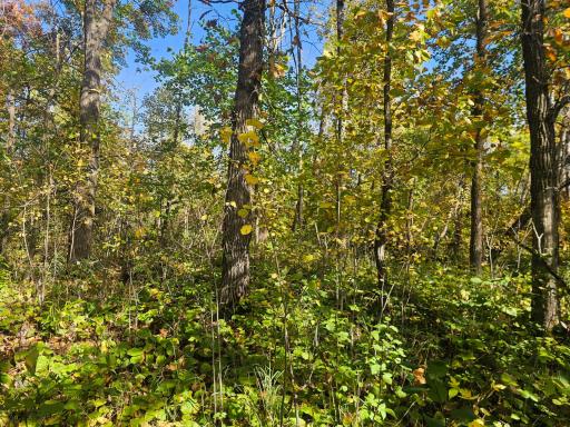 TBD County Road 30, Aitkin, MN 56431