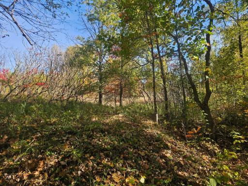 TBD County Road 30, Aitkin, MN 56431