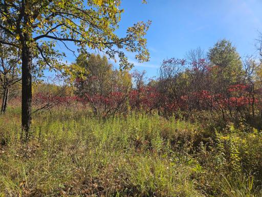 TBD County Road 30, Aitkin, MN 56431