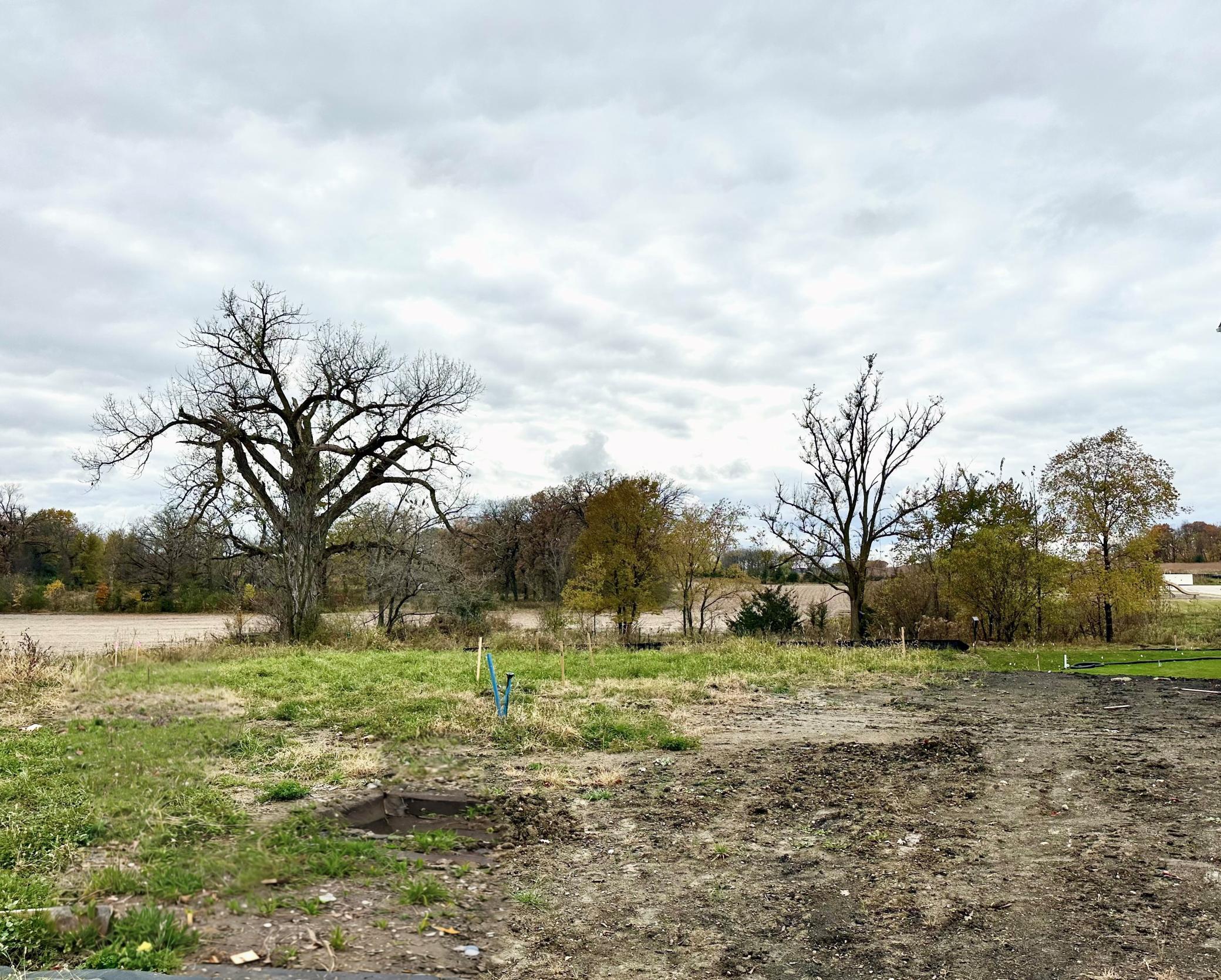 View of the homesite at 1513 Clover Preserve Way.