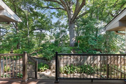Lovely wooded gardens to help relax.