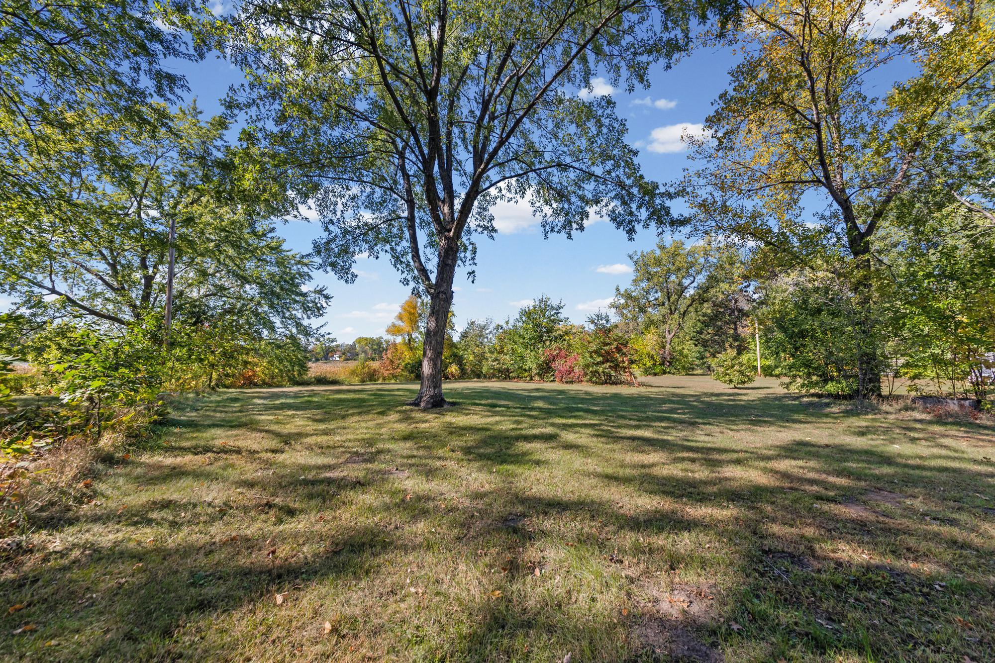Huge back yard
