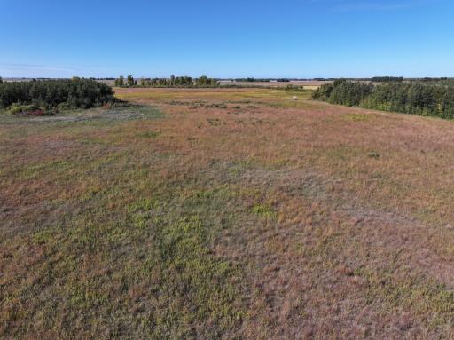 DJI_20260817170546_0019_D (1).JPG