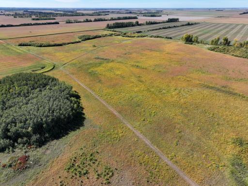DJI_20260817170240_0005_D.JPG