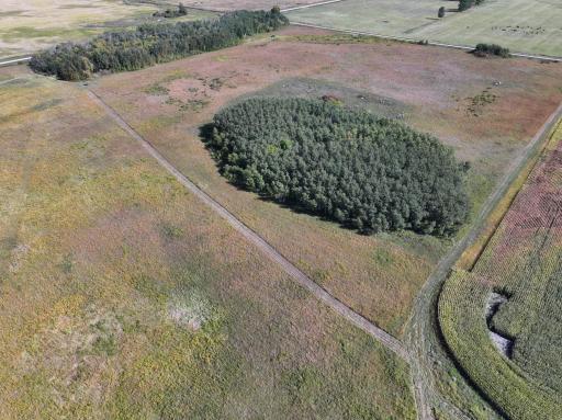 DJI_20260817170457_0017_D.JPG