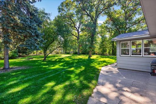 Beautifully shaded backyard with mature trees, expansive green space, and a patio for outdoor entertaining.