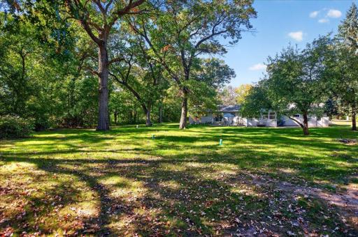 Expansive backyard with towering mature trees and a beautiful park-like setting offering plenty of room to enjoy the outdoors.