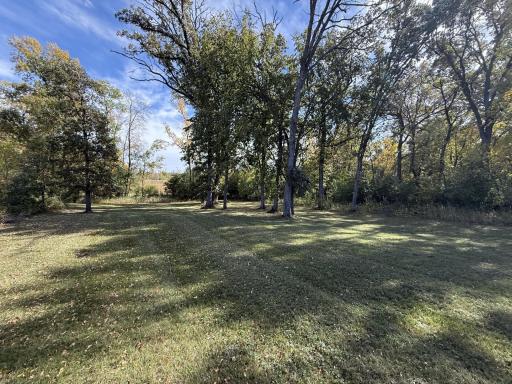 Spacious and private with mature oaks surrounding you!