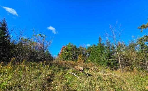 19758 261st Avenue, Preston, MN 55965