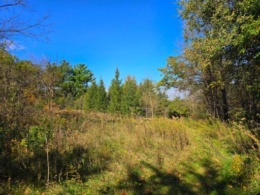 19758 261st Avenue, Preston, MN 55965