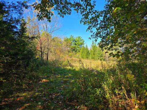 19758 261st Avenue, Preston, MN 55965