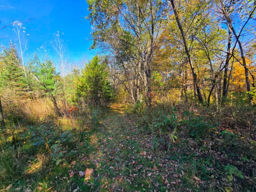 19758 261st Avenue, Preston, MN 55965