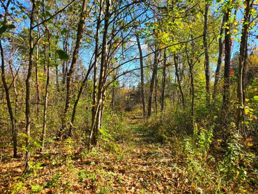 19758 261st Avenue, Preston, MN 55965