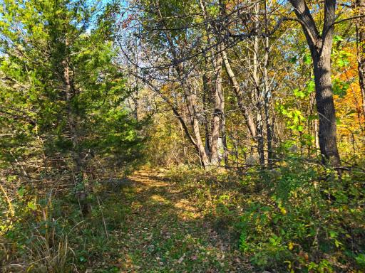 19758 261st Avenue, Preston, MN 55965