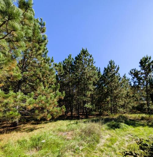 7126 Tribute Lane NW, Bemidji, MN 56601