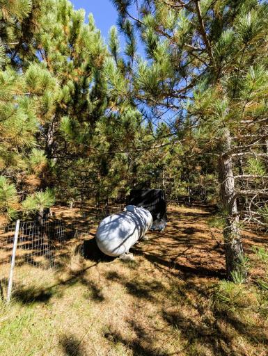 7126 Tribute Lane NW, Bemidji, MN 56601