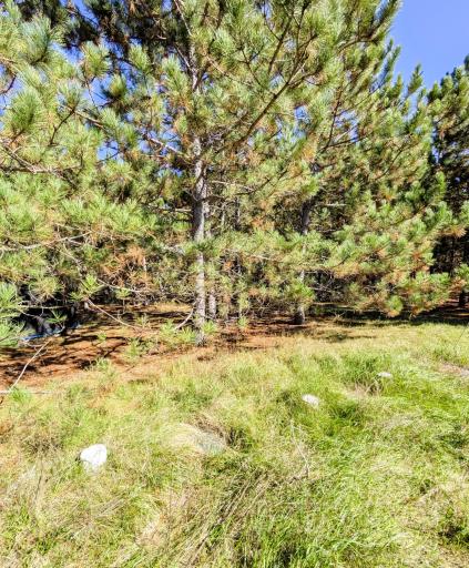 7126 Tribute Lane NW, Bemidji, MN 56601