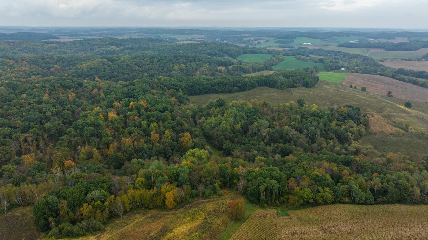 DJI_20260930170147_0351_D.jpg