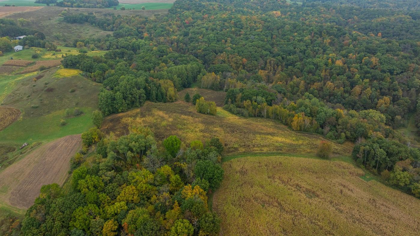 DJI_20260930170124_0349_D.jpg