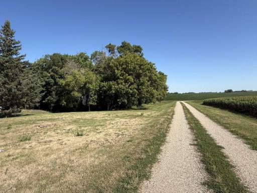 3251 200th Street, Rothsay, MN 56579