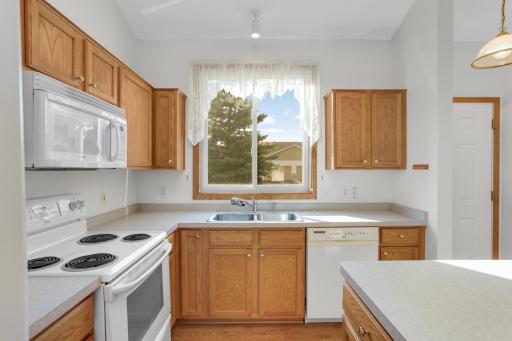 1545 Chartreux Avenue, Shakopee, MN 55379