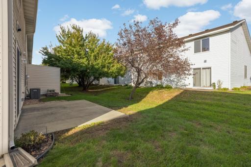 1545 Chartreux Avenue, Shakopee, MN 55379