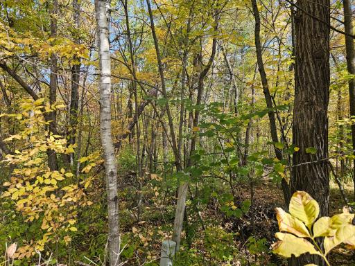 TBD Lot 2 Bunny Lane, Crosby, MN 56441