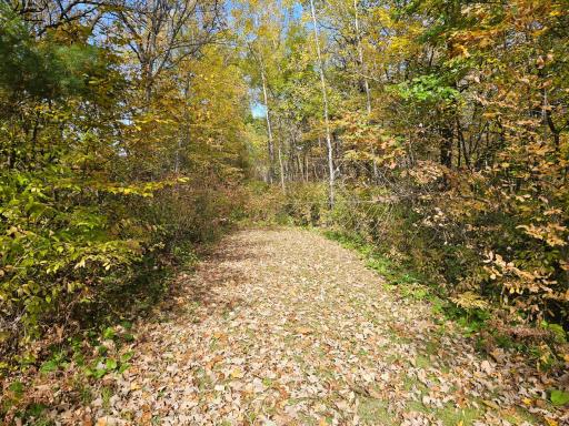 TBD Lot 2 Bunny Lane, Crosby, MN 56441