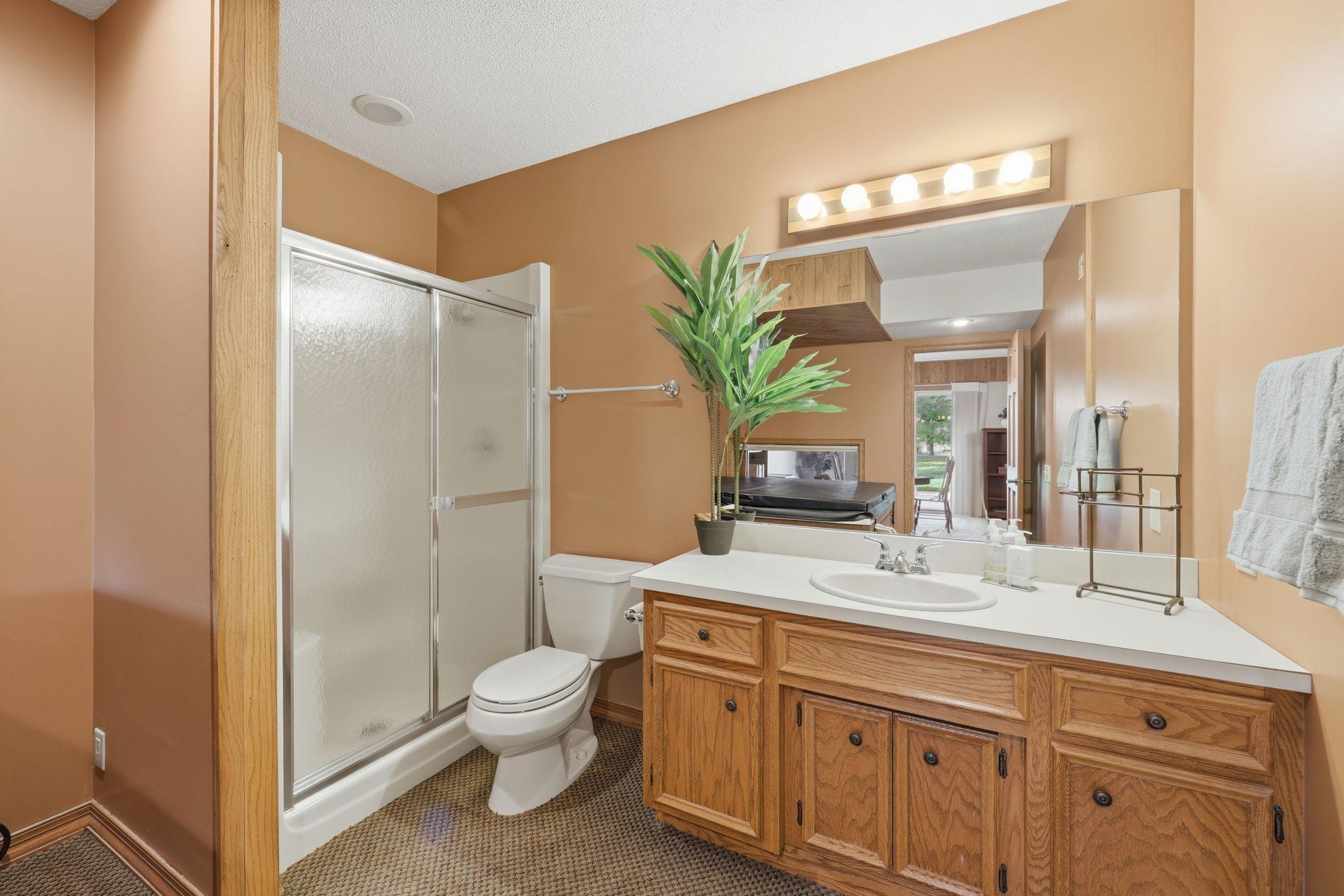 Lower level bath