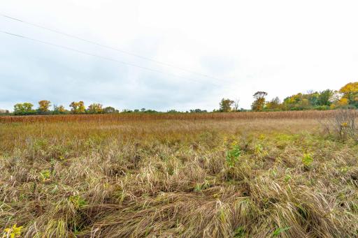 23727 County Highway 65, Henning, MN 56551