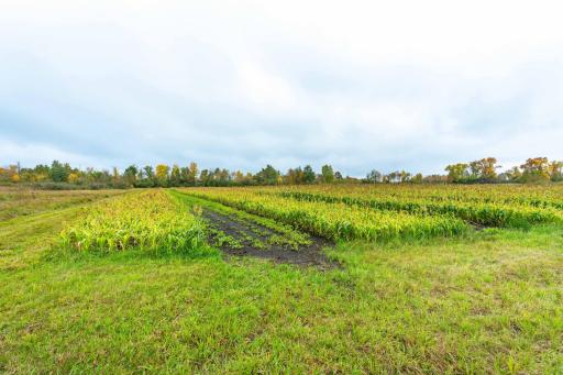 23727 County Highway 65, Henning, MN 56551