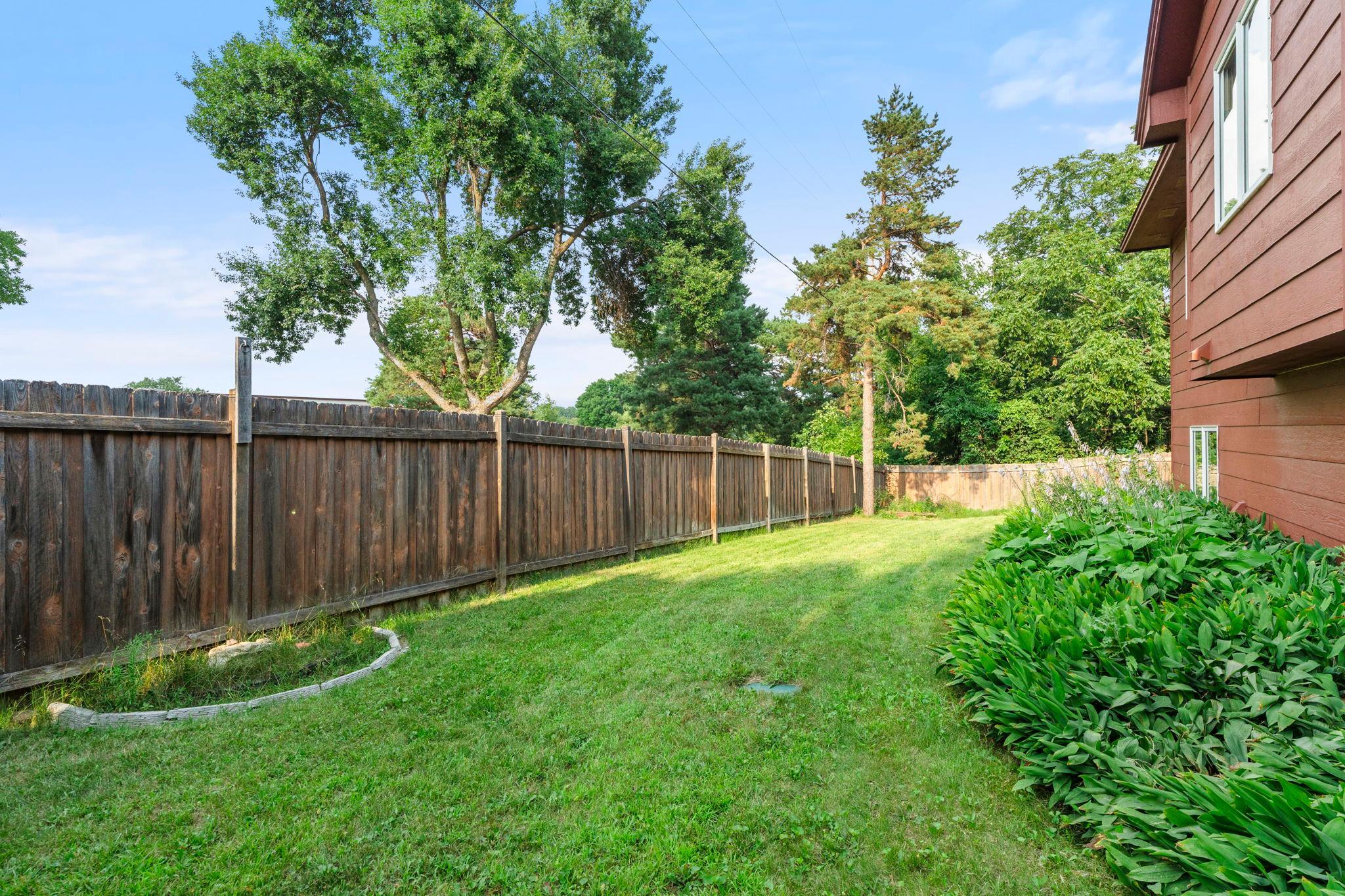 View of another side of the backyard