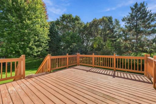 39-web-or-mls-13112_Quail_Creek_Dr_NE_Minneapolis_MN_55449_009.jpg