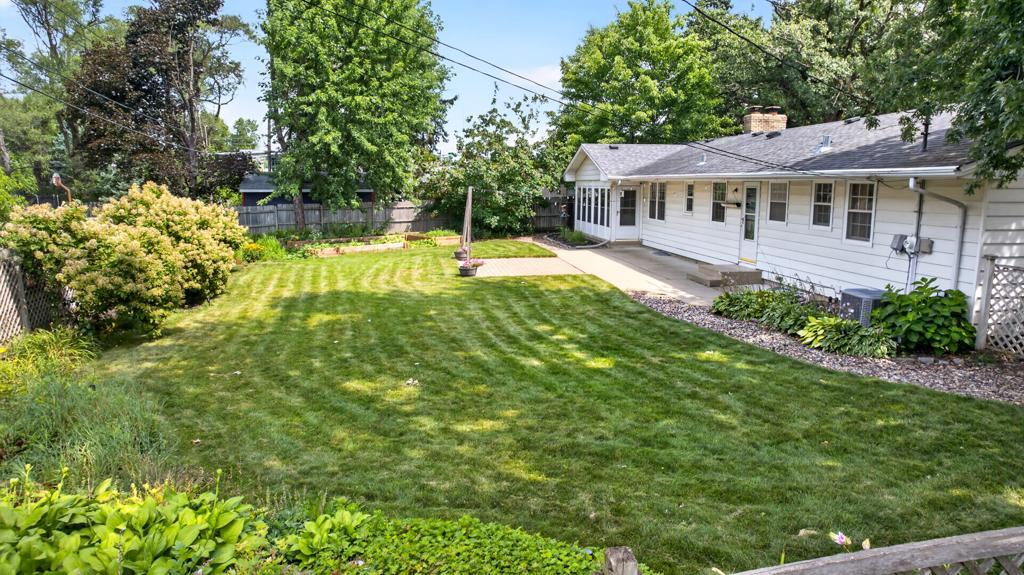 Large backyard