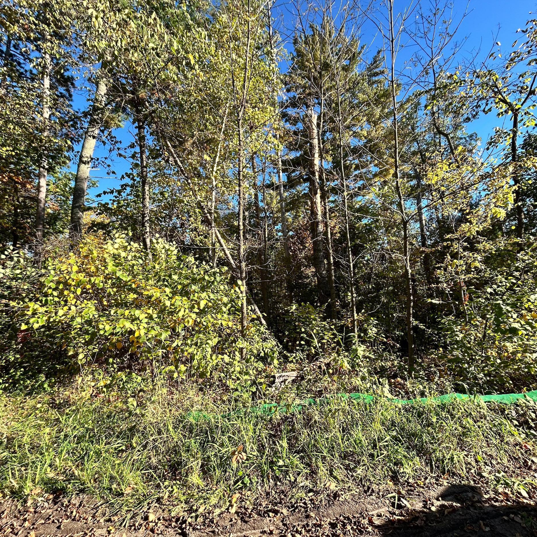Property photo for TBD Edna Lake Road, Nisswa, MN 56468