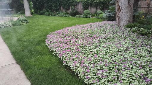 2725 Irving Avenue S, Backyard Gardens.jpg